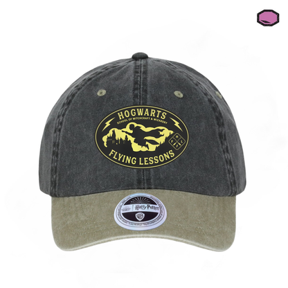 Gorra Harry Potter “Hogwarts Flying Lessons” Gris-Beige Vintage