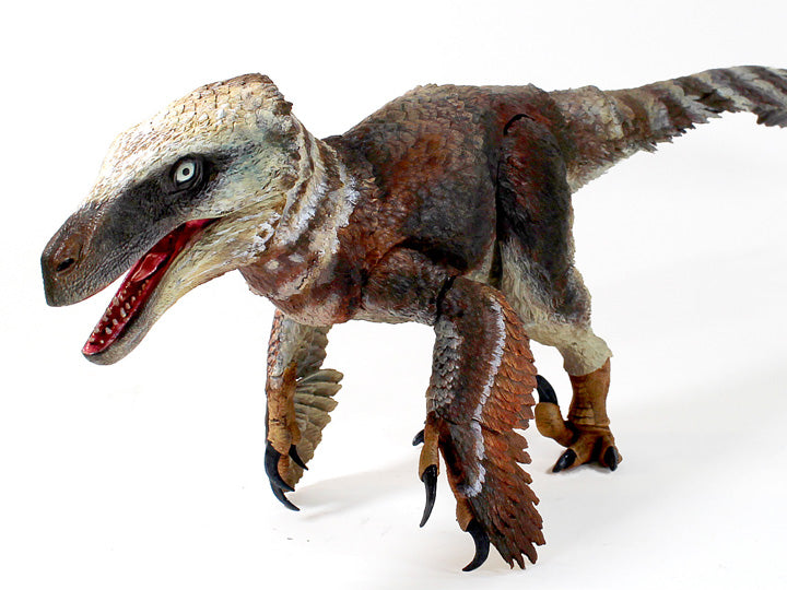 Beasts of the Mesozoic “Utahraptor Ostrommaysi”