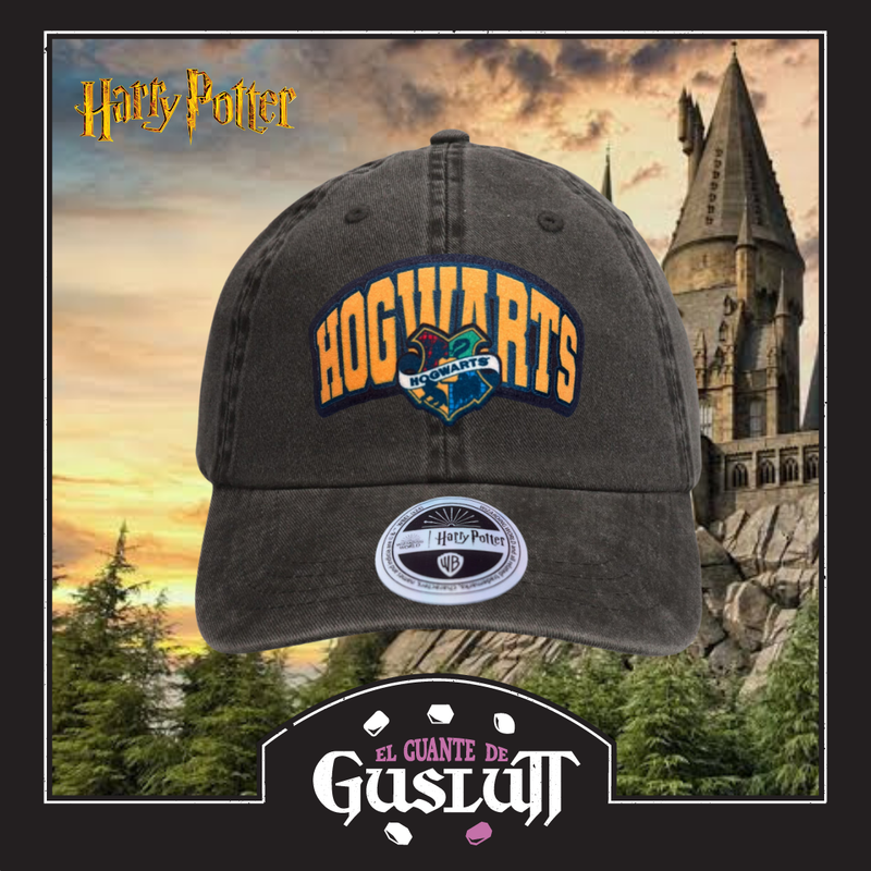 Gorra Harry Potter Hogwarts “Draco Dormiens Nunquam Titillandus” Gris Vintage