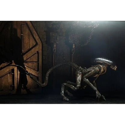 NECA Ultimate Dog Alien