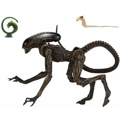 NECA Ultimate Dog Alien