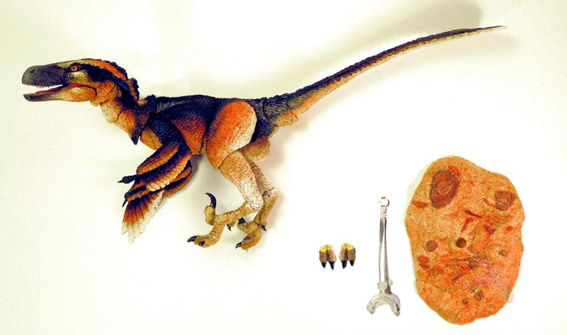 Beasts of the Mesozoic “Pyroraptor Olympius” (Fans Choice Version) 1/6 scale Deluxe Figure