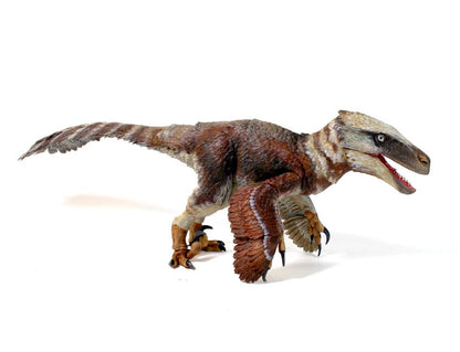 Beasts of the Mesozoic “Utahraptor Ostrommaysi”