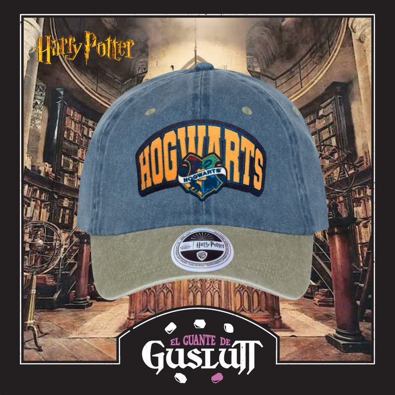 Gorra Harry Potter Hogwarts “Draco Dormiens Nunquam Titillandus” Azul-Beige Vintage