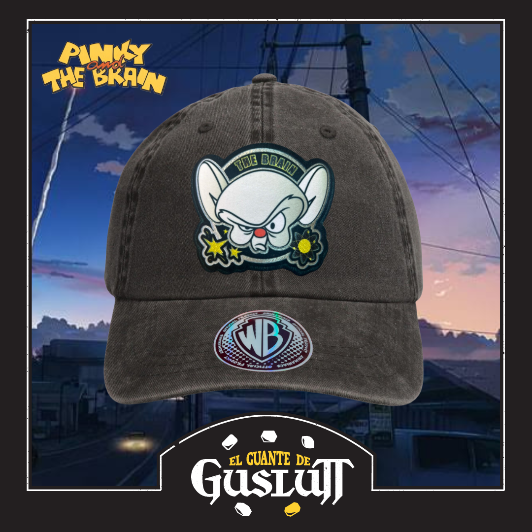 Gorra Animaniacs Pinky and the Brain “The Brain” Gris Vintage