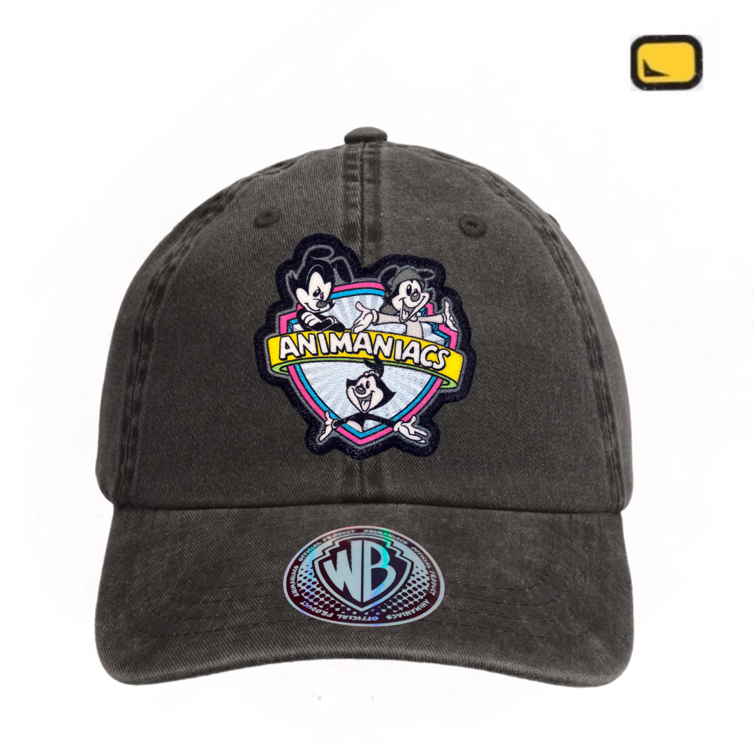 Gorra Animaniacs “Classic Logo” Gris Vintage