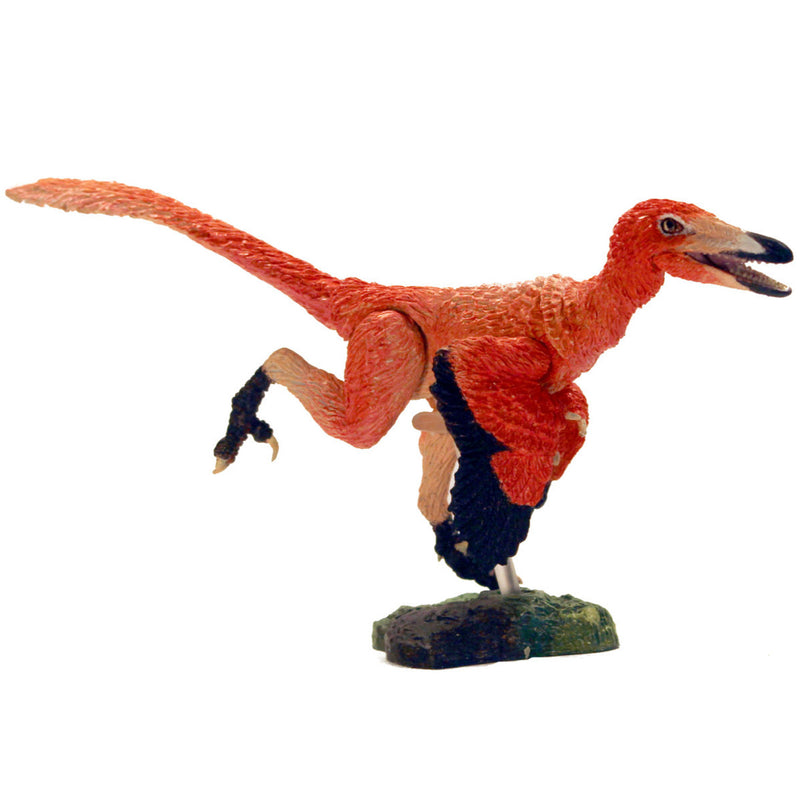 Beasts of the Mesozoic Western “Buitreraptor Gonzalezorum & Stenonychosaurus Inequalis” 2 Pack