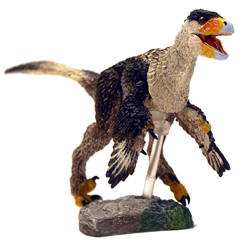 Beasts of the Mesozoic Western “Buitreraptor Gonzalezorum & Stenonychosaurus Inequalis” 2 Pack