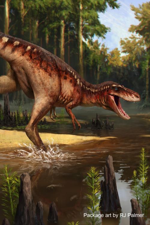 Beasts of the Mesozoic “Juvenile Tyrannosaurus Rex”