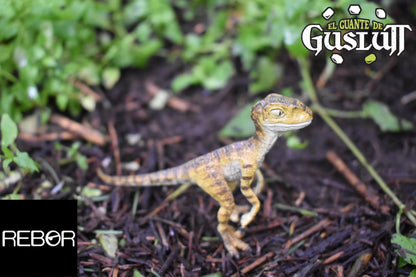 REBOR Baby Velociraptor Stan - El Guante de Guslutt