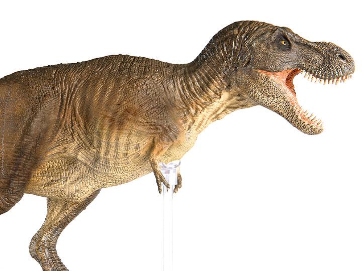 REBOR Gng T-Rex type A - El Guante de Guslutt