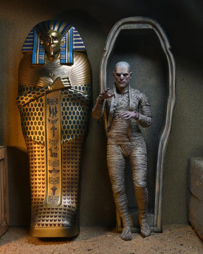 NECA Universal Monsters "The Mummy" Accesory Set